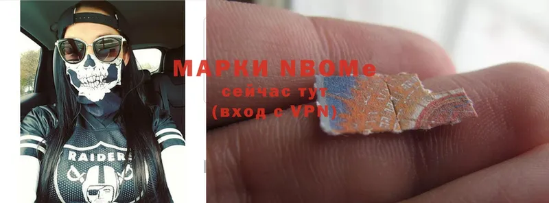 купить закладку  Елизово  Марки 25I-NBOMe 1,8мг 